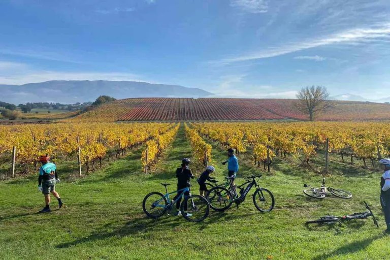 Alla scoperta delle colline umbre: natura, arte e sapori